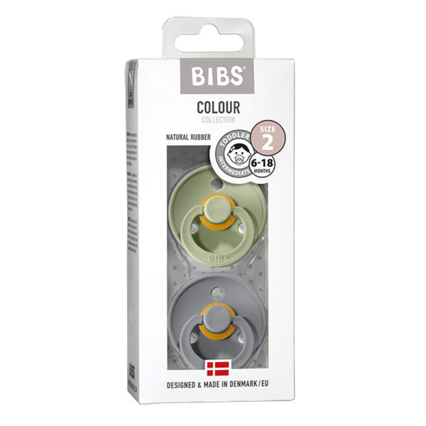 BIBS_dude