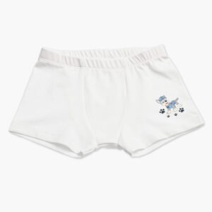 Otroske bokserice za fanta