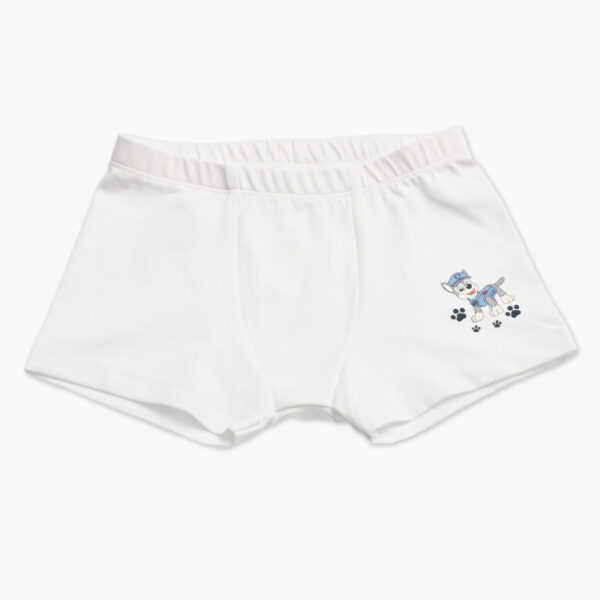 Otroske bokserice za fanta