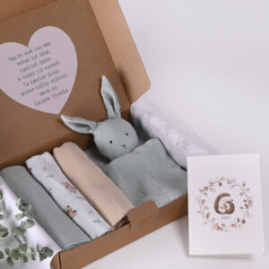 Darilni paket za novorojenčka
