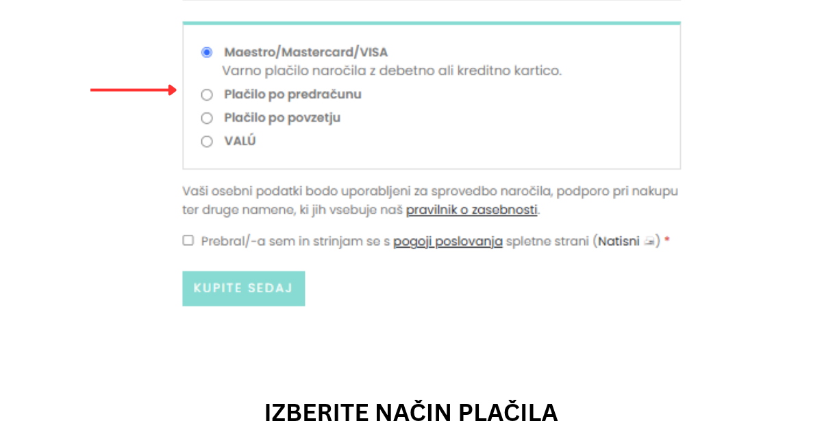 Izbira načina plačila pri zaključku nakupa v spletni trgovini Sivili
